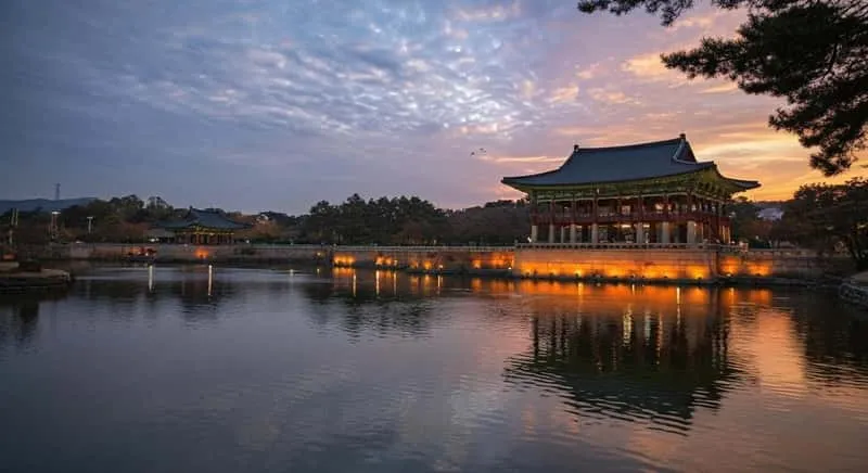 Small group at the Daereungwon royal tombs after hotel pickup on a gyeongju city tour from Busan in Gyeongju, South Korea